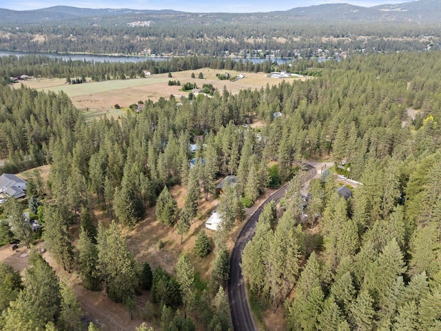 15007 W Willynwood Ln, Nine Mile Falls, WA 99026 - aerial view of property's location with a heavily wooded area and mountains