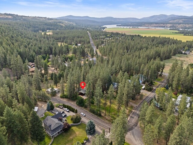 15007 W Willynwood Ln, Nine Mile Falls, WA 99026 - aerial overview of property's location featuring a mountain backdrop and a forest