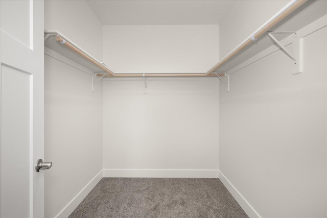 4219 W Tolliver Ct, Spokane, WA 99208 - walk in closet featuring carpet floors