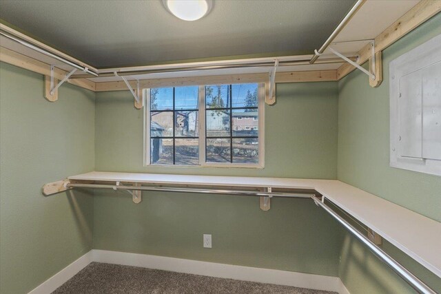 1409 E 36th Ave, Spokane, WA 99203 - walk in closet with carpet floors and electric panel