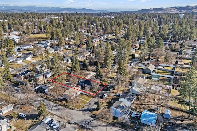 1409 E 36th Ave, Spokane, WA 99203 - aerial perspective of suburban area with a heavily wooded area and property boundaries highlighted