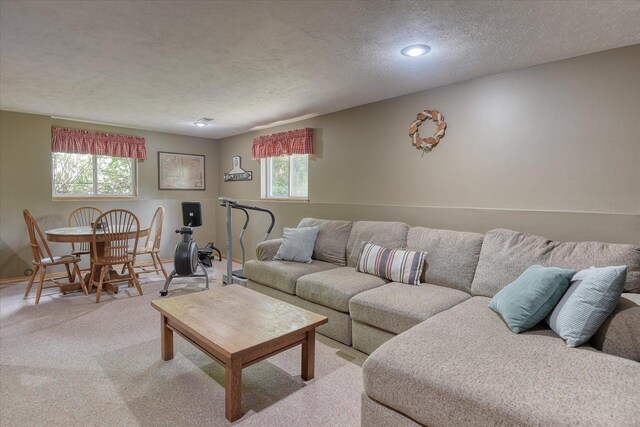 4307 S Apollo St, Spokane, WA 99223 - living area featuring a textured ceiling and light carpet