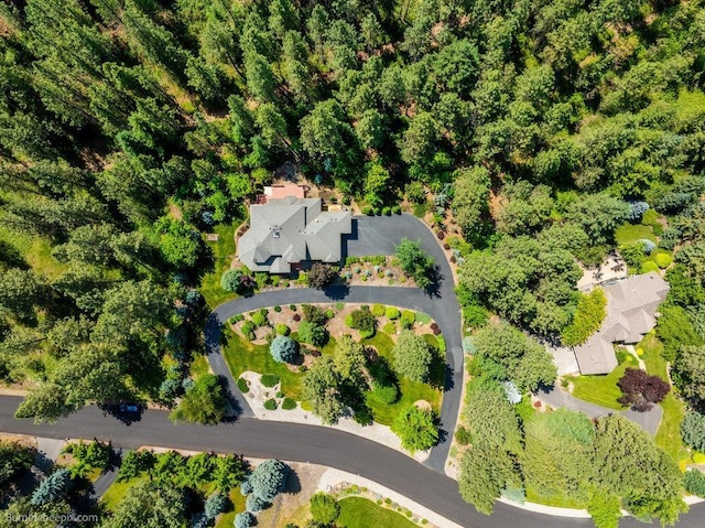 12910 S Fairway Ridge Ln, Spokane, WA 99224 - bird's eye view