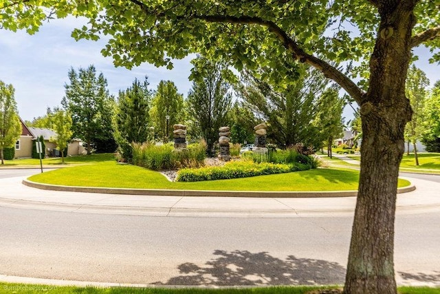 20051 E Meyers Ave, Liberty Lake, WA 99019 - view of street featuring curbs
