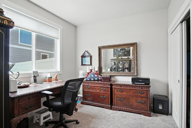 2630 S Fairmont Estates Ct, Greenacres, WA 99016 - office space with carpet flooring