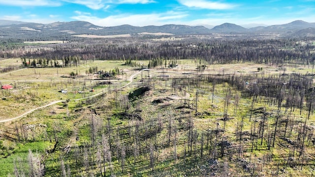 14608 E Casey Ln, Elk, WA 99009