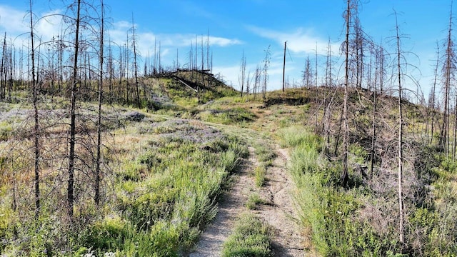 14608 E Casey Ln, Elk, WA 99009