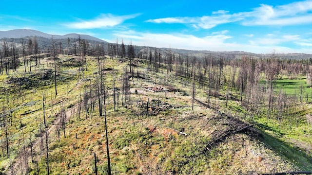 14608 E Casey Ln, Elk, WA 99009
