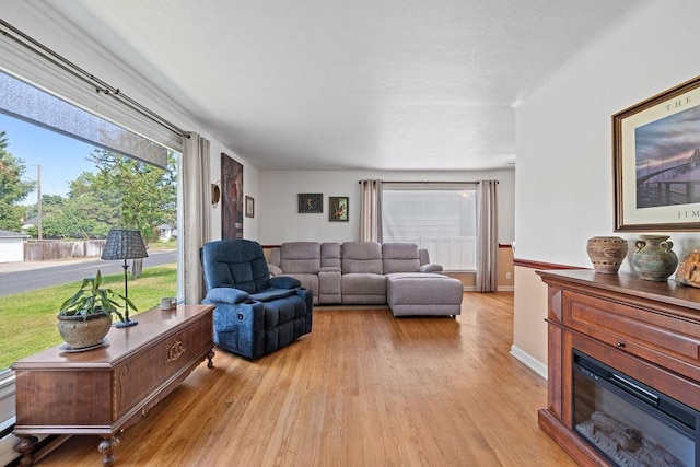 5204 N Belt St, Spokane, WA 99205 - living room with light wood-type flooring and a glass covered fireplace