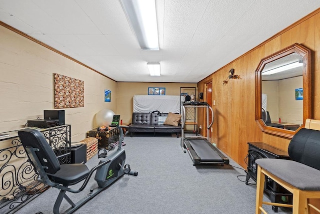 5204 N Belt St, Spokane, WA 99205 - workout room featuring carpet flooring and wooden walls
