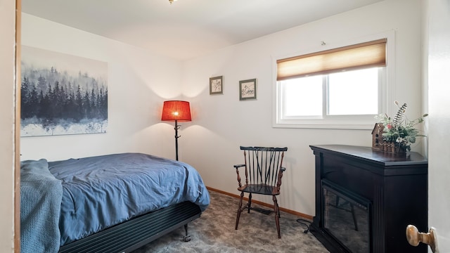 3908 E 26th Ave, Spokane, WA 99223 - bedroom with carpet and baseboards