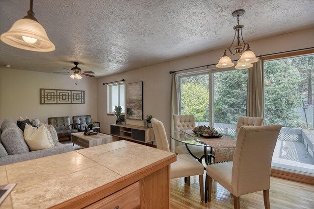 8410 N Pine Meadows Ln, Nine Mile Falls, WA 99026 - dining room featuring light wood finished floors, a textured ceiling, a chandelier, and ceiling fan