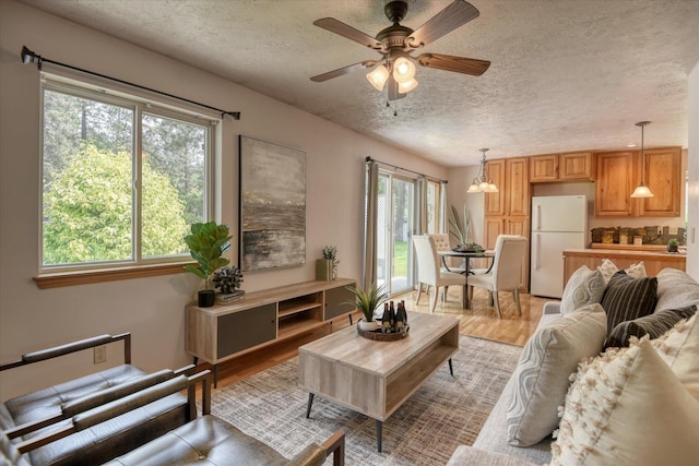 8410 N Pine Meadows Ln, Nine Mile Falls, WA 99026 - living room with a textured ceiling, light wood-type flooring, and ceiling fan