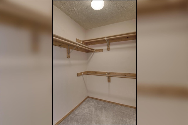 8410 N Pine Meadows Ln, Nine Mile Falls, WA 99026 - spacious closet with light carpet