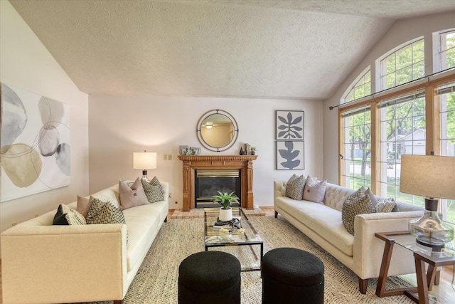 8410 N Pine Meadows Ln, Nine Mile Falls, WA 99026 - living area featuring vaulted ceiling, a textured ceiling, and a glass covered fireplace