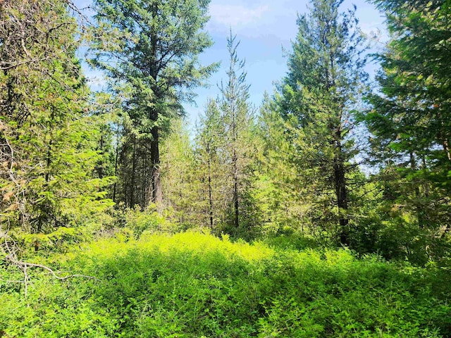 4711X Springdale Hunters Rd, Springdale, WA 99173
