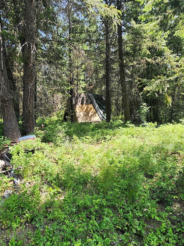4711X Springdale Hunters Rd, Springdale, WA 99173