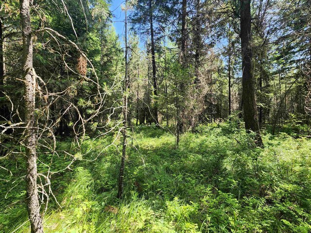 4711X Springdale Hunters Rd, Springdale, WA 99173