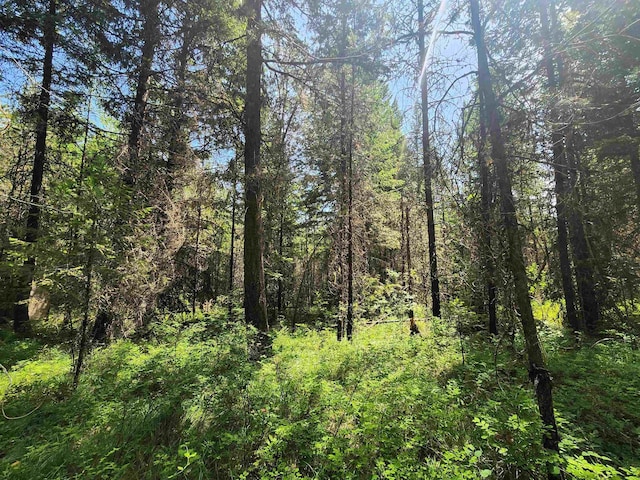 4711X Springdale Hunters Rd, Springdale, WA 99173