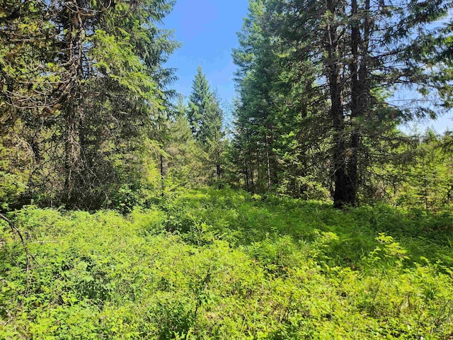 4711X Springdale Hunters Rd, Springdale, WA 99173