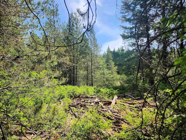 4711X Springdale Hunters Rd, Springdale, WA 99173