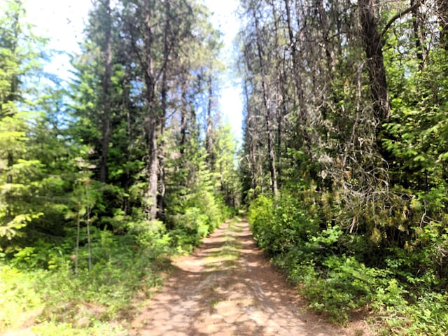 4711X Springdale Hunters Rd, Springdale, WA 99173