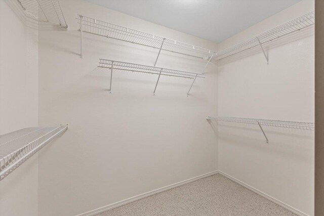 4216 S Tenfel Ln, Spokane, WA 99223 - spacious closet featuring light carpet