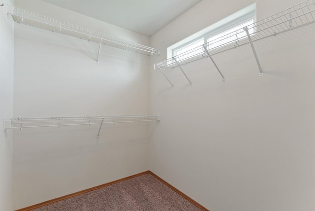 12919 E 39th Ln, Spokane Valley, WA 99206 - spacious closet with carpet flooring