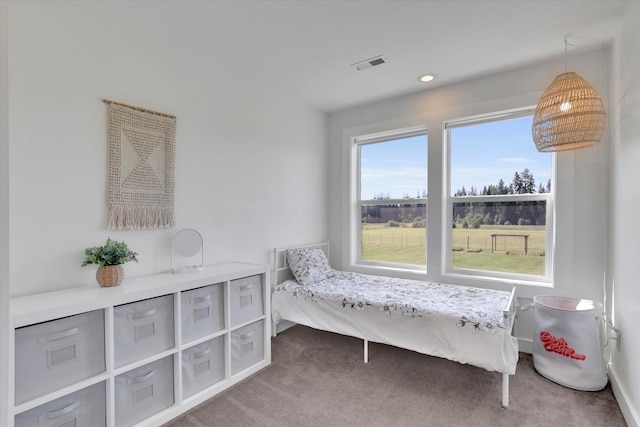 4669 Williams Valley Rd Unit D, Clayton, WA 99110 - bedroom featuring carpet floors and baseboards