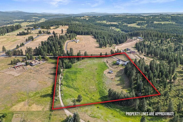 12101 E Randall Rd, Mead, WA 99021 - photo 47