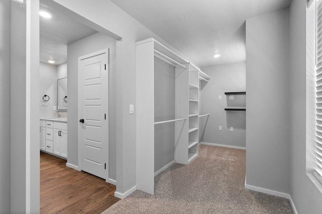 12413 E Dickens Ln, Spokane Valley, WA 99206 - walk in closet featuring a sink