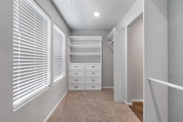 12413 E Dickens Ln, Spokane Valley, WA 99206 - spacious closet featuring light carpet