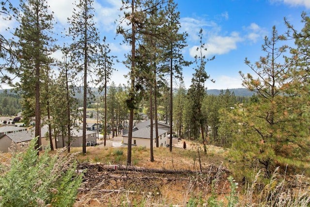 12413 E Dickens Ln, Spokane Valley, WA 99206 - view of wooded area