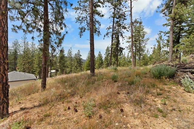 12413 E Dickens Ln, Spokane Valley, WA 99206 - view of wooded area
