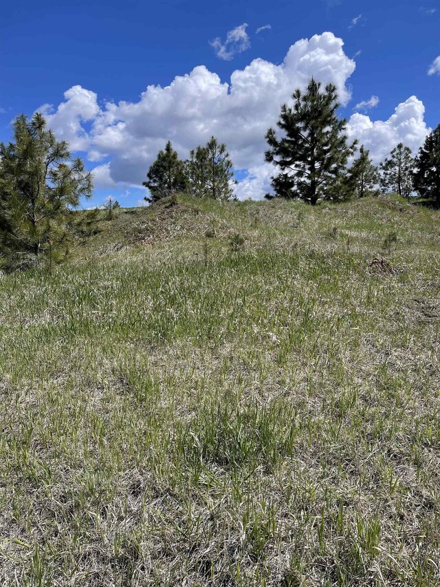 5024 W Hayden Ln, Spokane, WA 99208 - photo 3