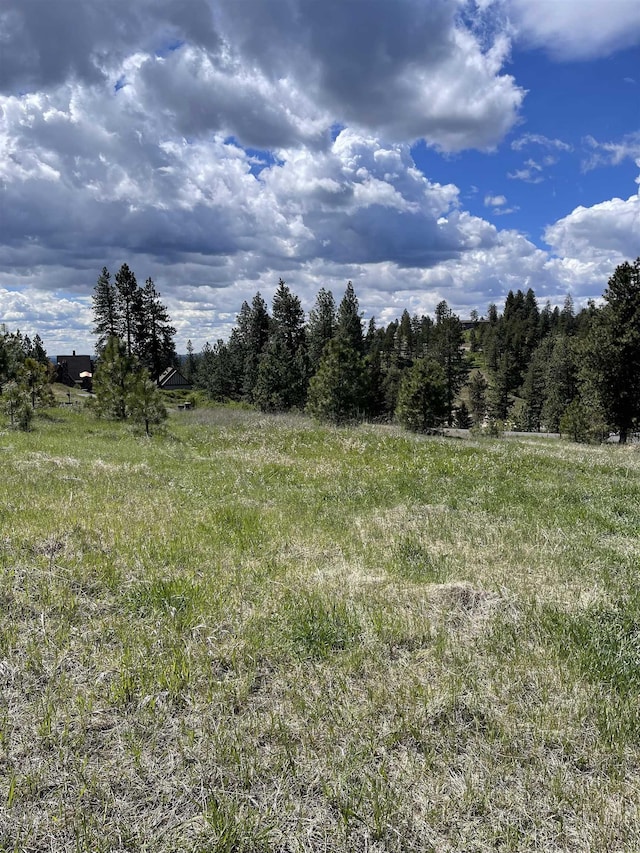 5024 W Hayden Ln, Spokane, WA 99208 - photo 4