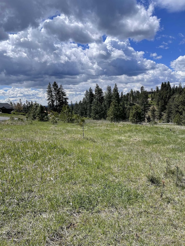 5024 W Hayden Ln, Spokane, WA 99208 - photo 5