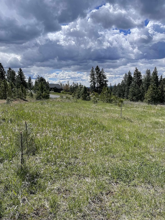 5024 W Hayden Ln, Spokane, WA 99208 - photo 6