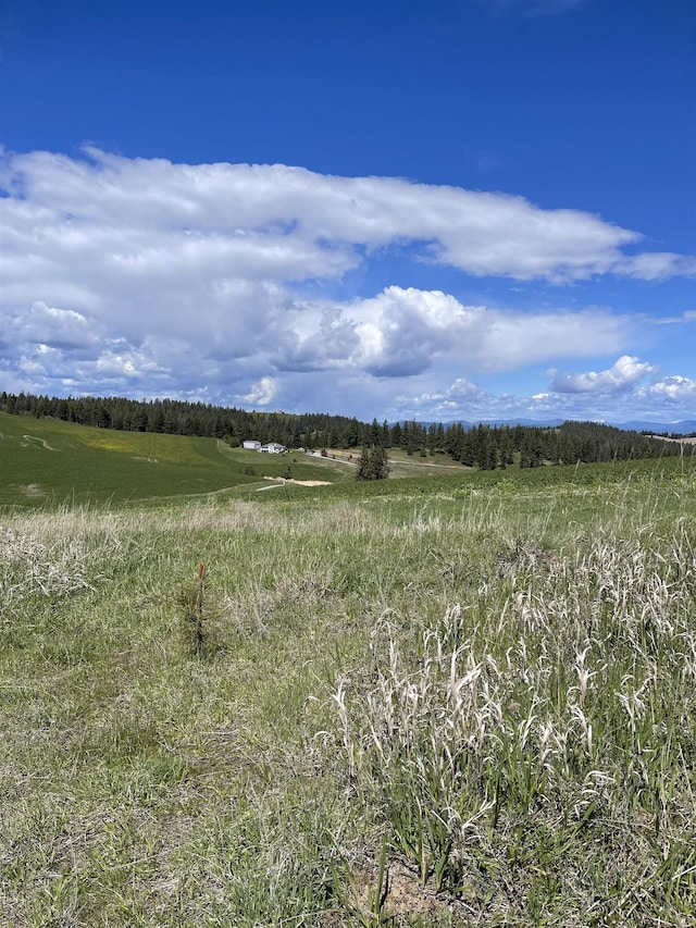 5024 W Hayden Ln, Spokane, WA 99208 - photo 8