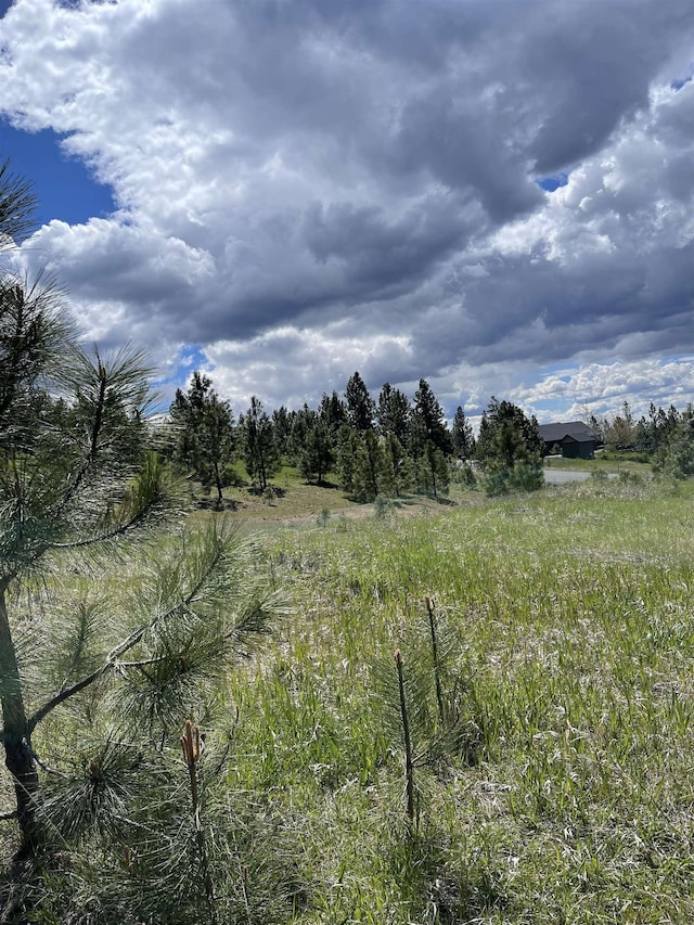 5024 W Hayden Ln, Spokane, WA 99208 - photo 9
