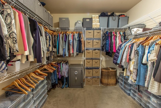 1119 N River Ridge Blvd, Spokane, WA 99224 - spacious closet featuring carpet flooring