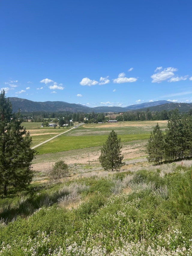 23XX Burnt Valley Rd # 2566428, Chewelah, WA 99109