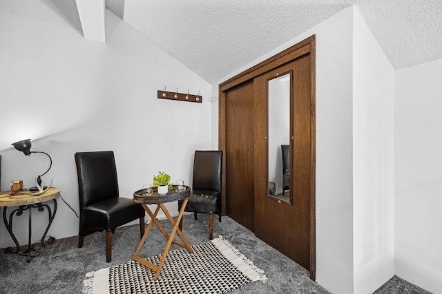 28600 N Mt Spokane Park Dr # 632, Mead, WA 99021 - living area with a textured ceiling, vaulted ceiling, and carpet floors
