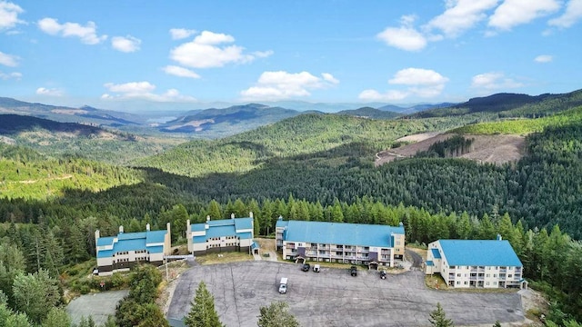 28600 N Mt Spokane Park Dr # 632, Mead, WA 99021 - drone / aerial view of a heavily wooded area and mountains