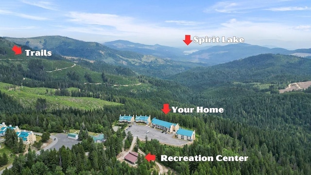 28600 N Mt Spokane Park Dr # 632, Mead, WA 99021 - mountain view featuring a forest