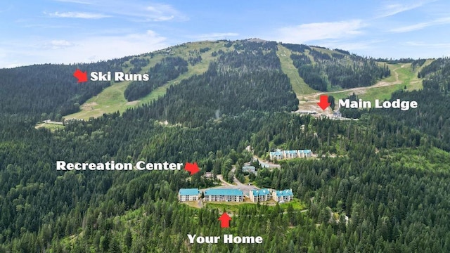 28600 N Mt Spokane Park Dr # 632, Mead, WA 99021 - mountain view featuring a heavily wooded area