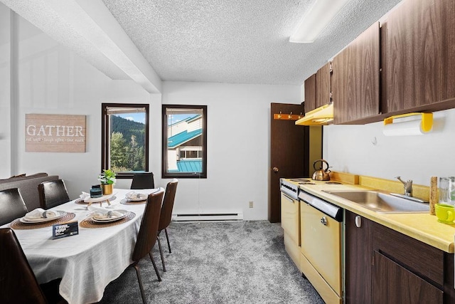 28600 N Mt Spokane Park Dr # 632, Mead, WA 99021 - kitchen with white dishwasher, light colored carpet, a textured ceiling, a baseboard radiator, and light countertops