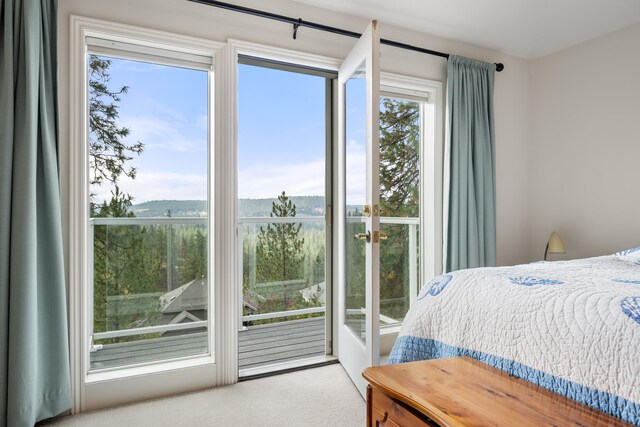 1306 E Blackwood Ln, Spokane, WA 99223 - photo 31