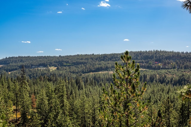 1306 E Blackwood Ln, Spokane, WA 99223 - photo 32