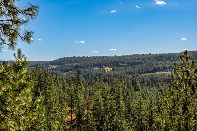 1306 E Blackwood Ln, Spokane, WA 99223 - photo 5